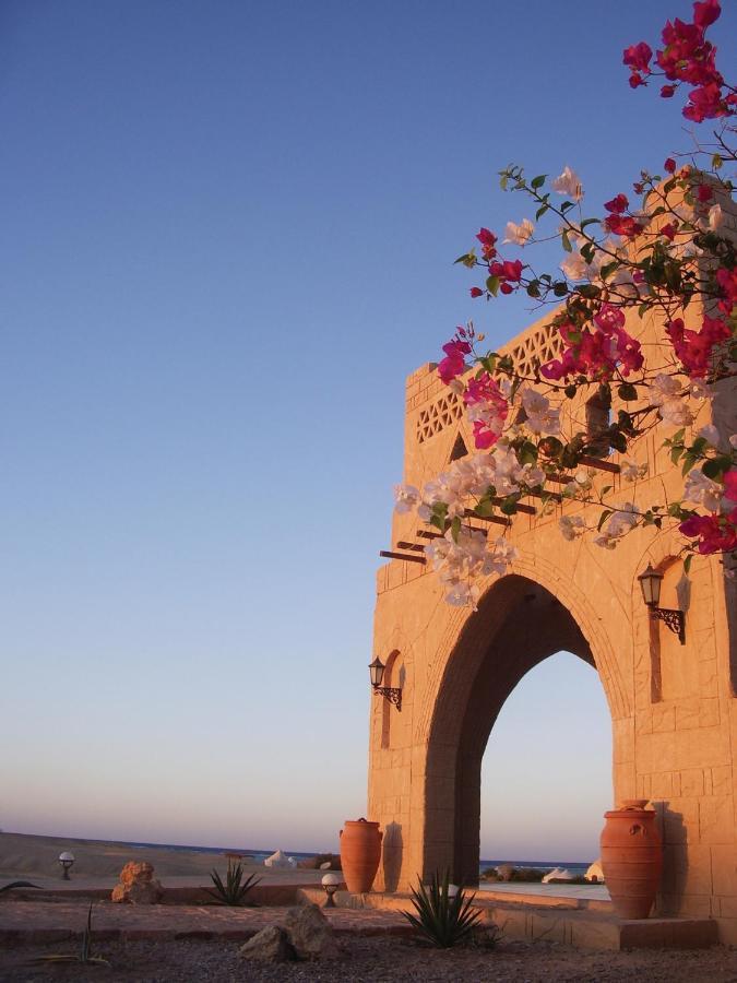 Marsa Shagra Village Абу-Дабаб Экстерьер фото